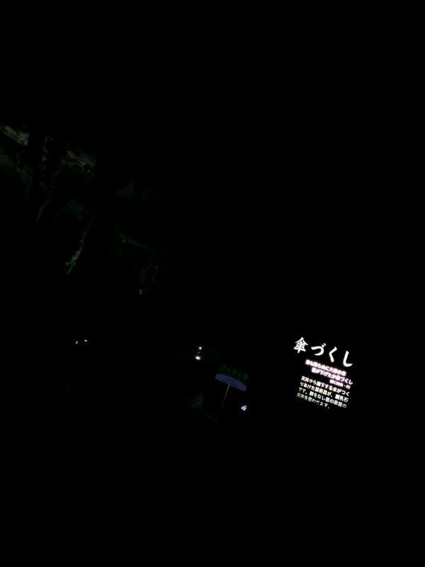 中の撮影