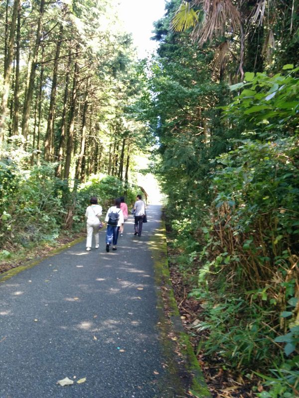 展望台への道