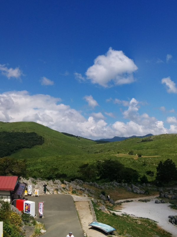 展望台からの眺め