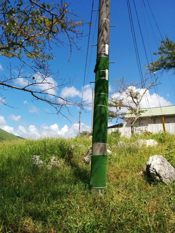 電柱の景観保護