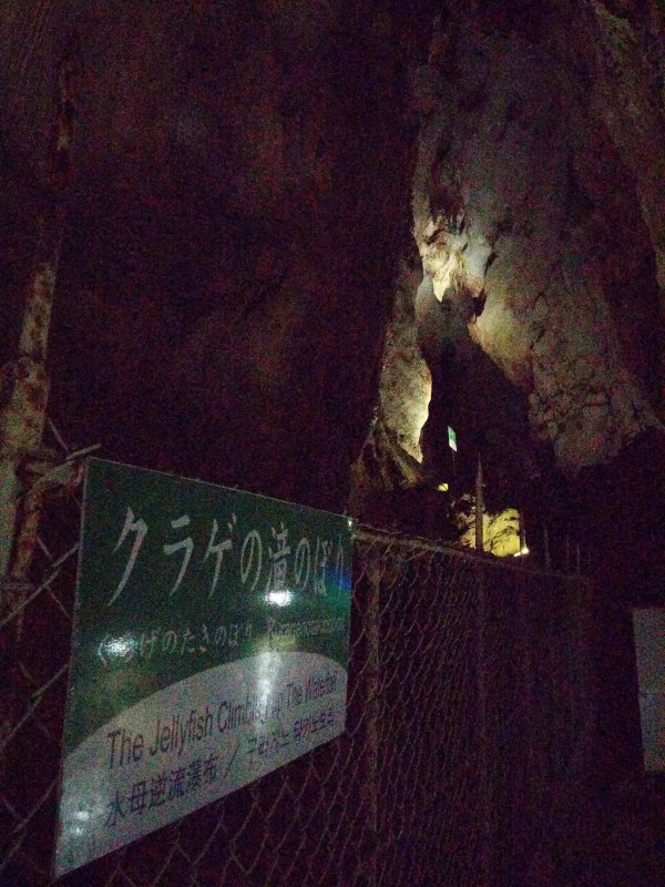 クラゲの滝のぼり