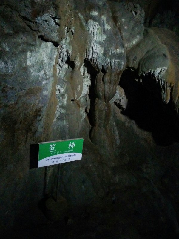 竹冠に包むの柿