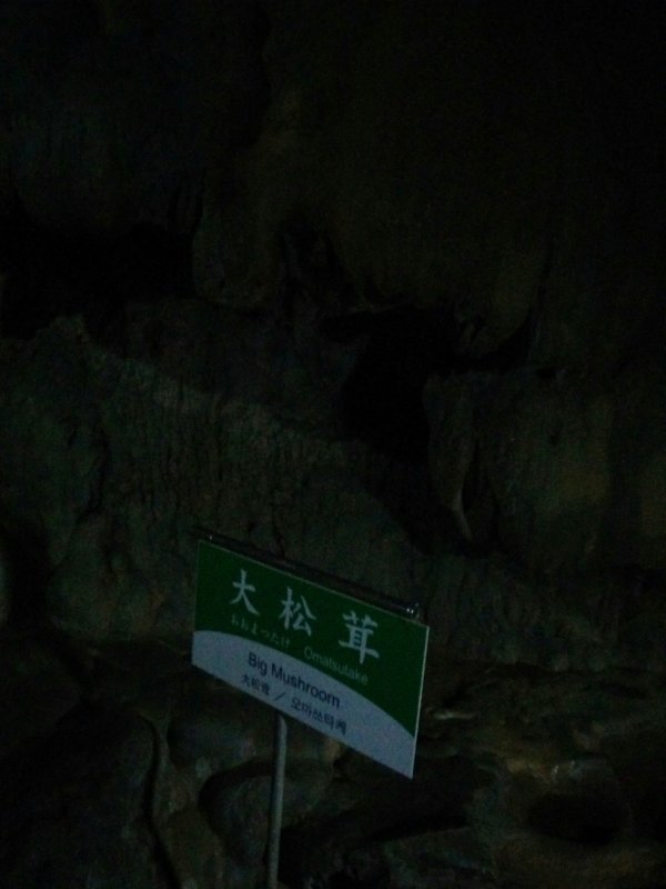 大松茸