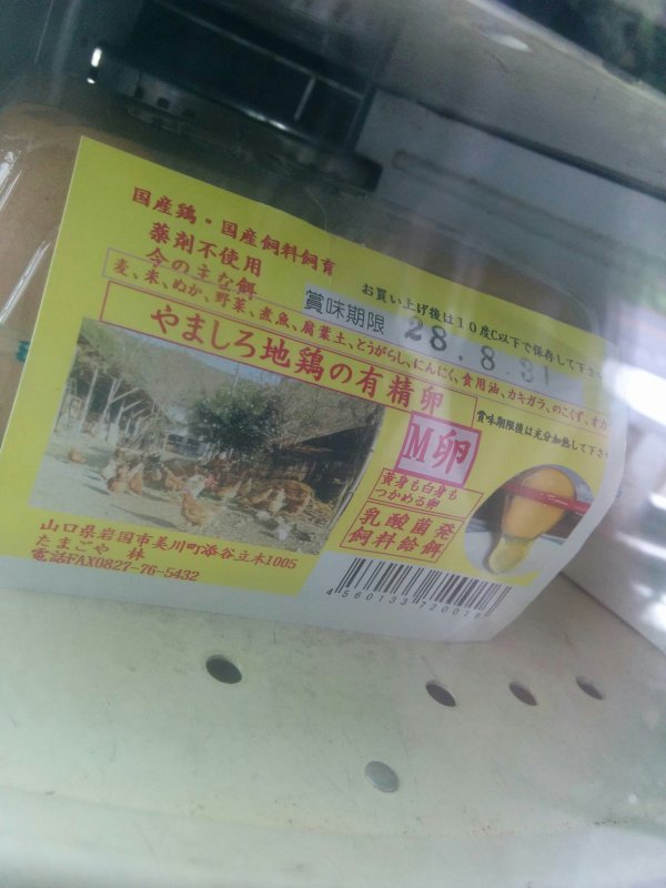 有精卵
