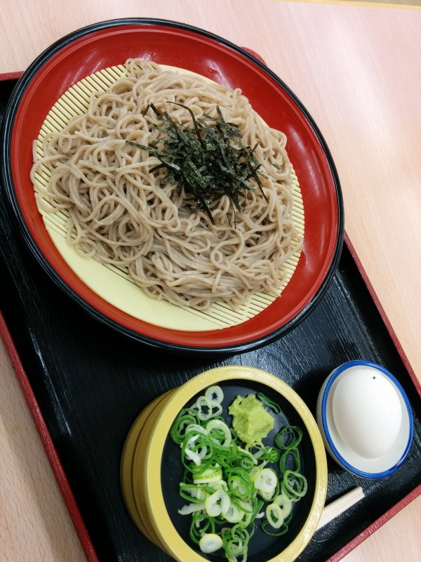 本日の夕食