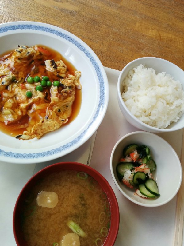 本日の昼食