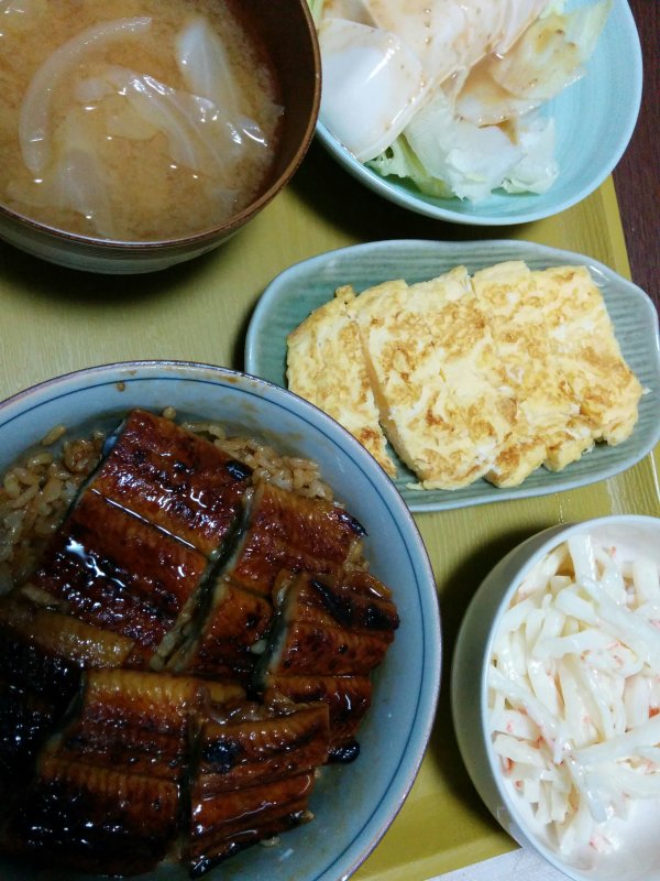 本日の夕食