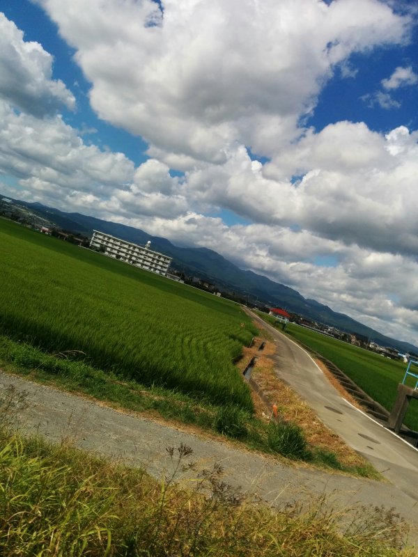 周りの風景
