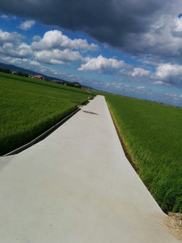 周りの風景２