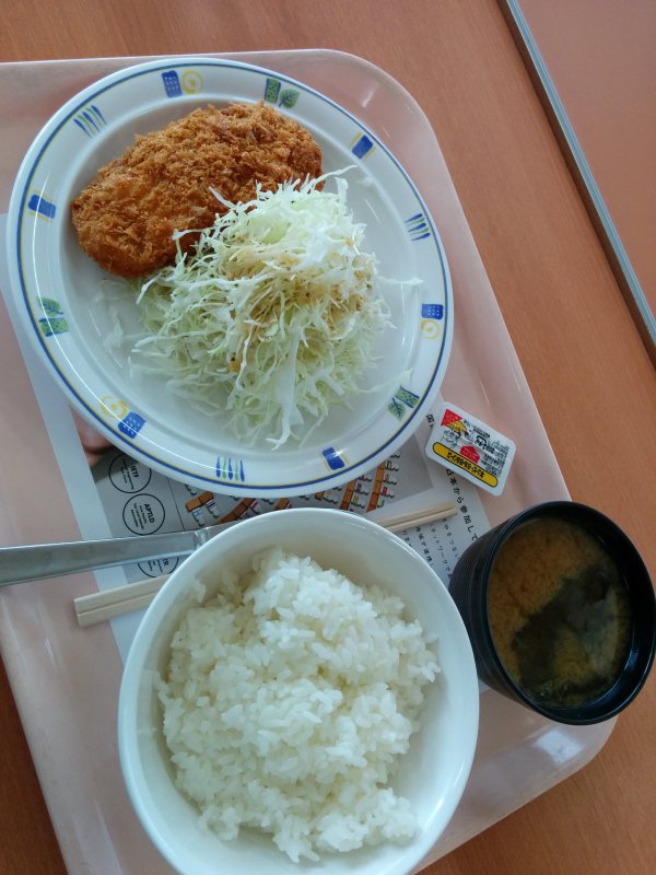 本日の昼食