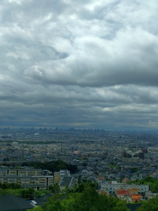 本日のお天気