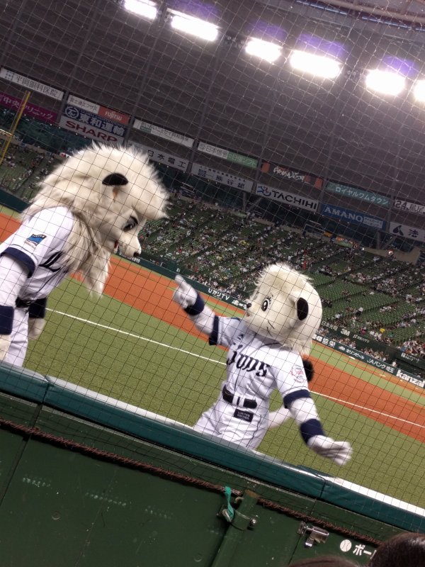 レオとライナの漫才