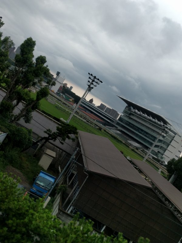 大井競馬場