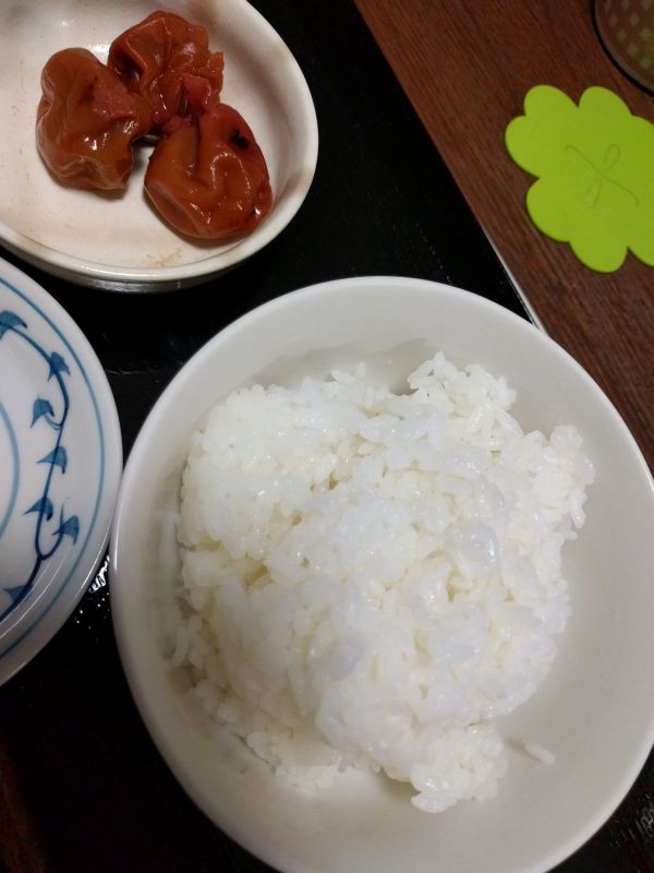 本日の夕食