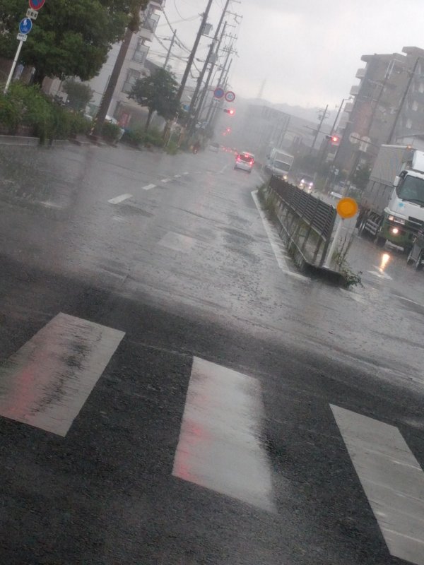 雨