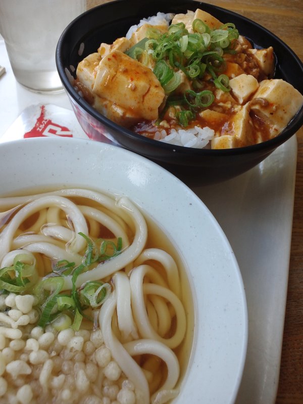 本日の昼食