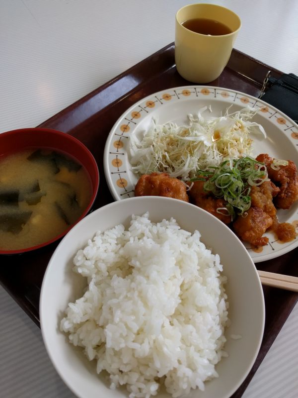 本日の昼食