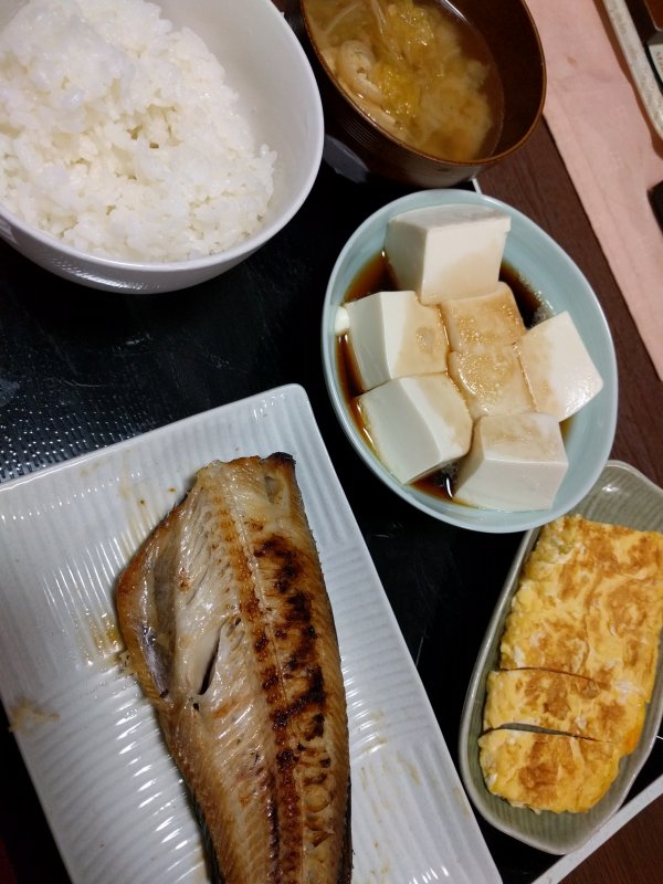 本日の夕食