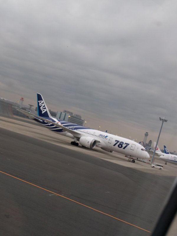 787特別塗装機