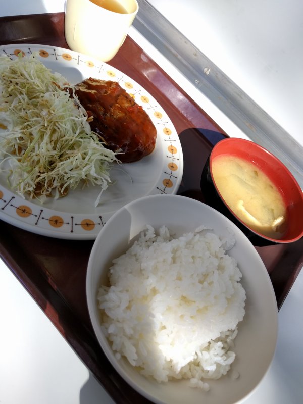 本日の昼食