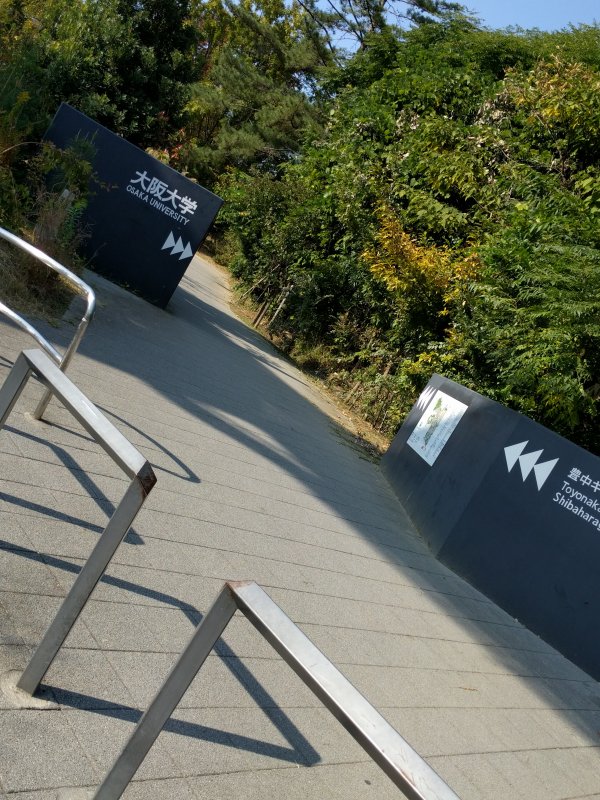 大阪大学