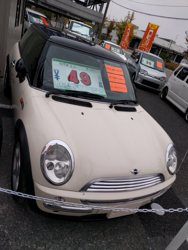 中古車の展示