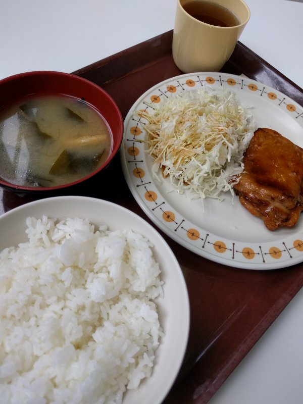 本日の昼食