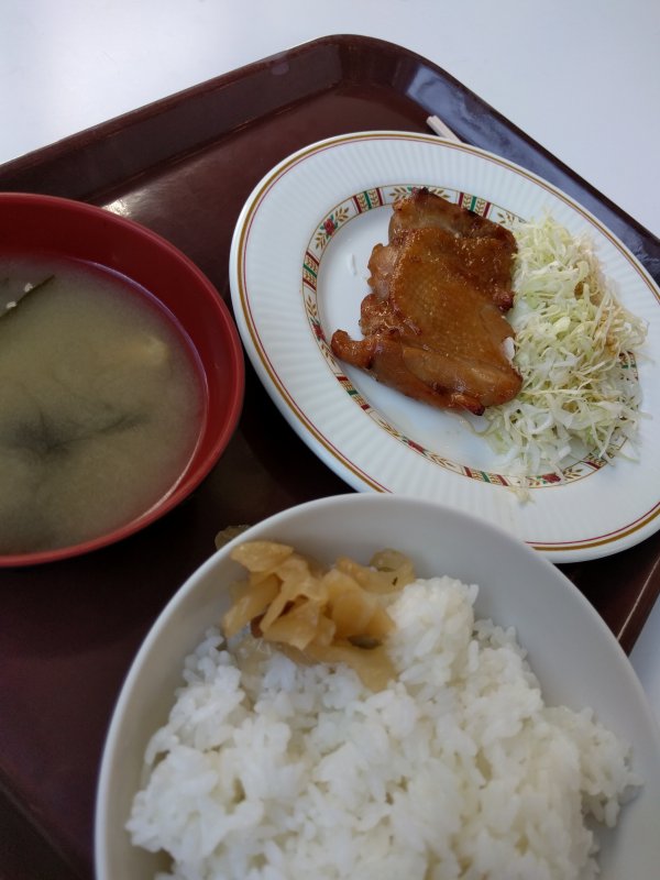 本日の昼食