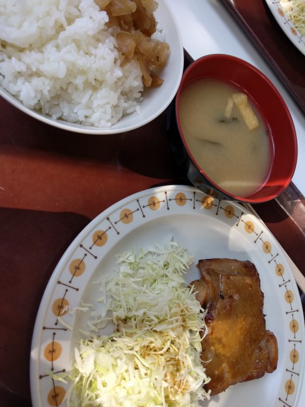 本日の昼食