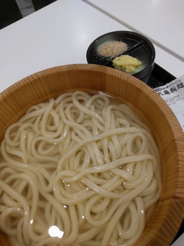 本日の昼食