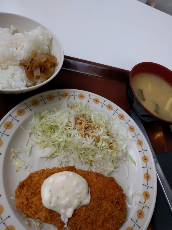 本日の昼食