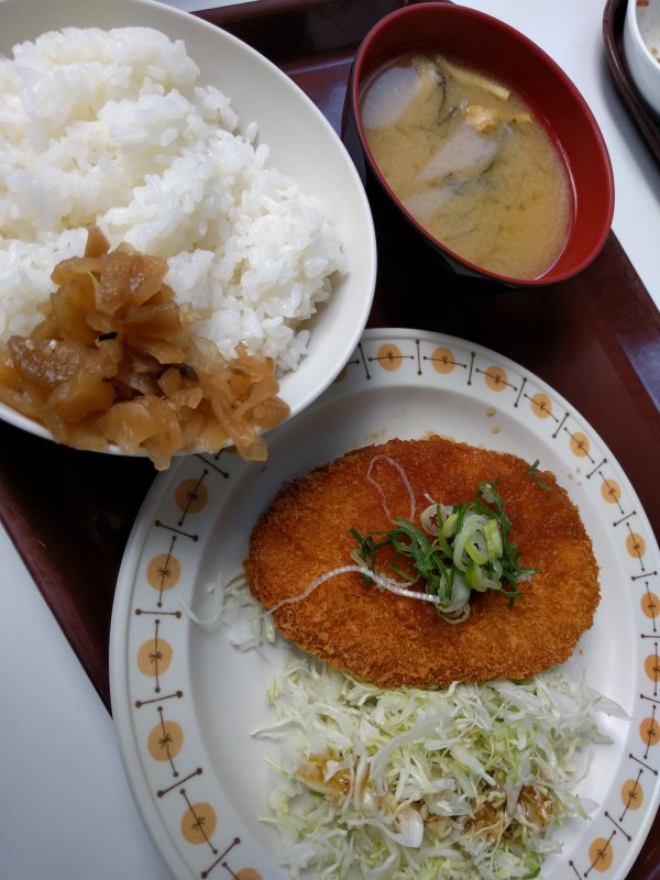 本日の昼食