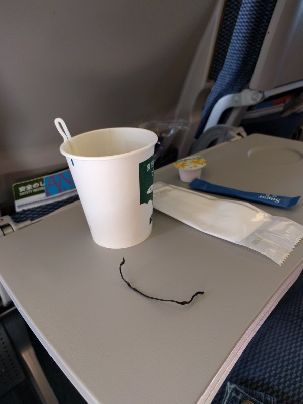 本日のドリンク２