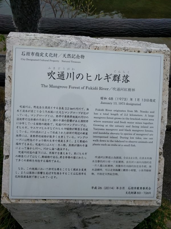 ヒルギ群落