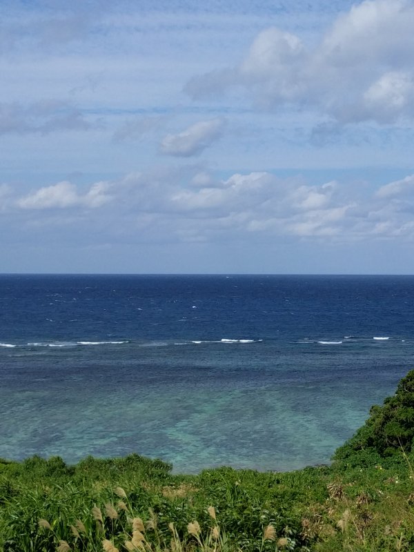 海の景色