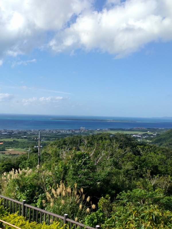 展望台からの見晴らし