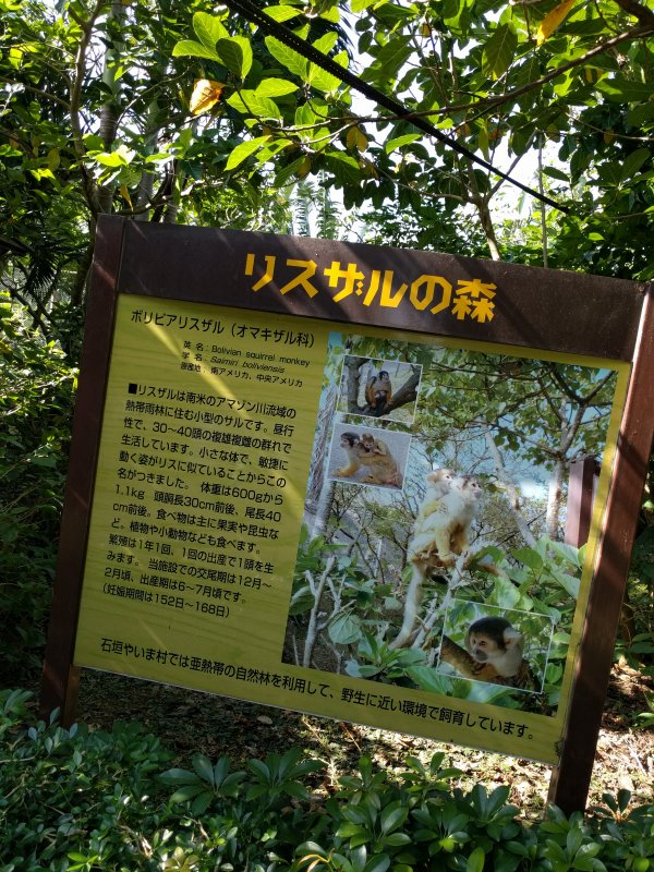 リスザルの森