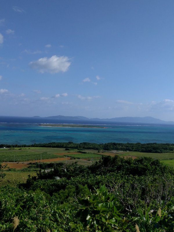 展望台からの見晴らし