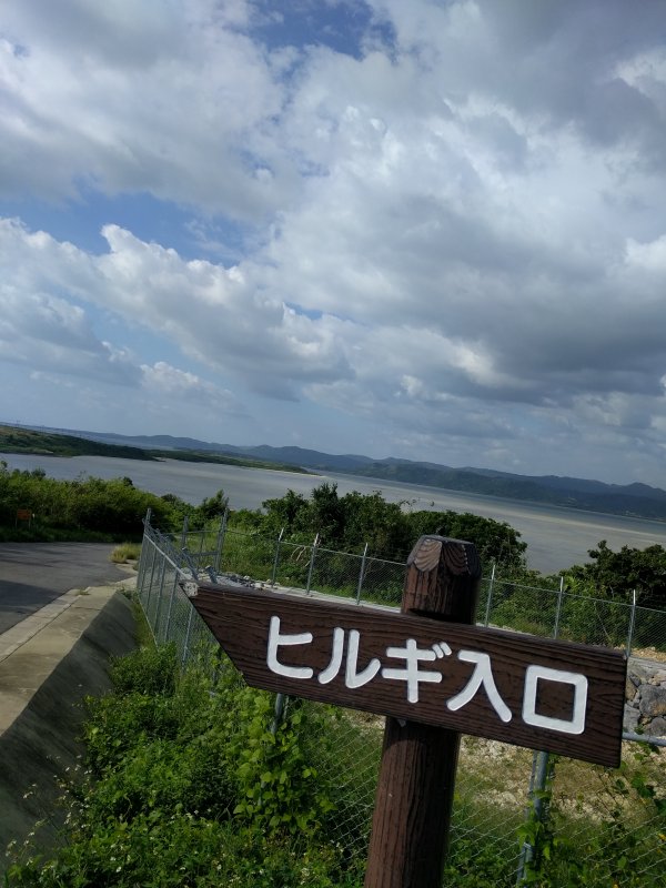 ヒルギ入口