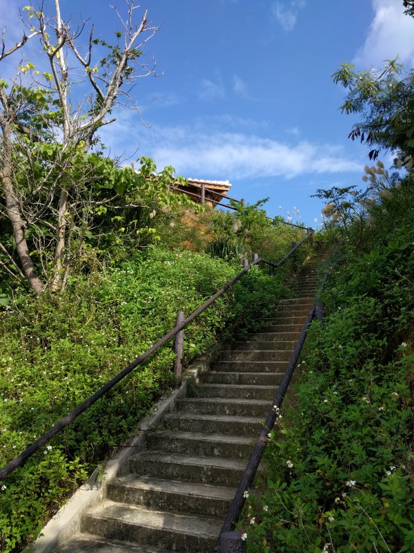 展望台への階段