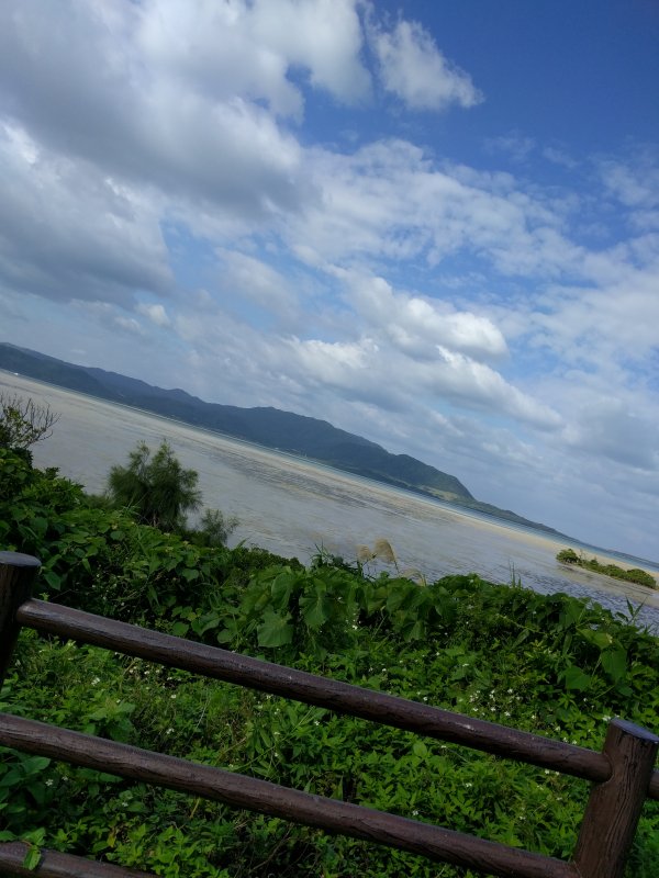 展望台からの見晴らし