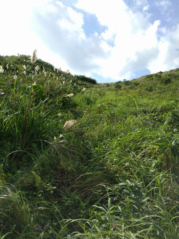登山道