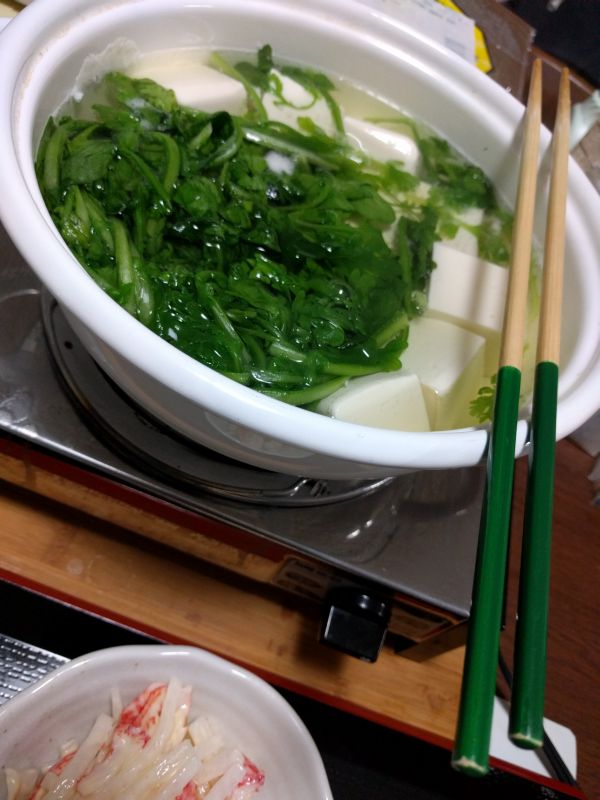 本日の夕食