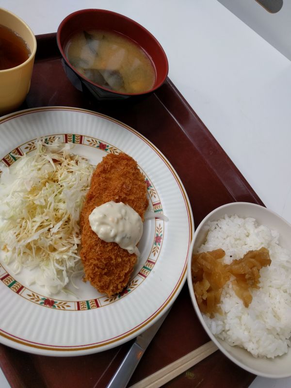 本日の昼食