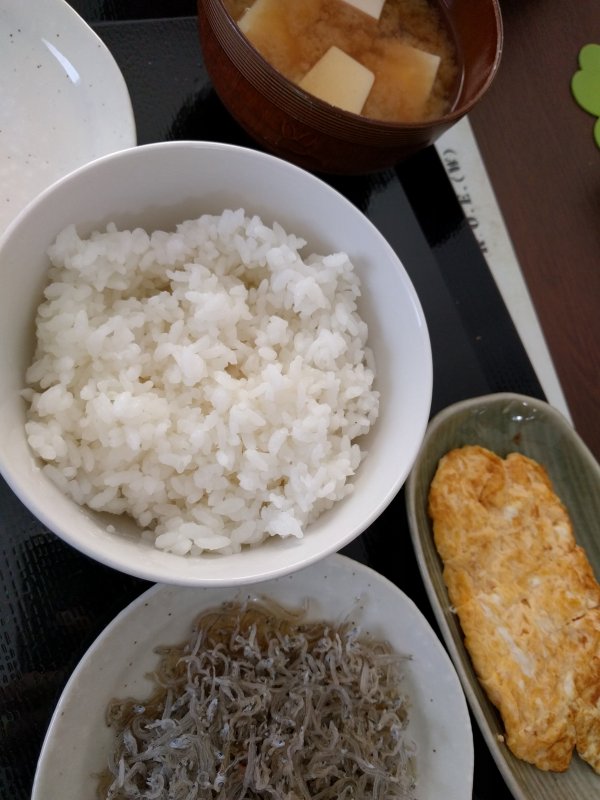 本日の朝食兼昼食