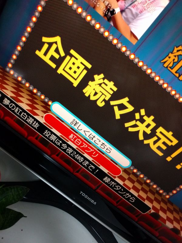 投票は今夜24時まで