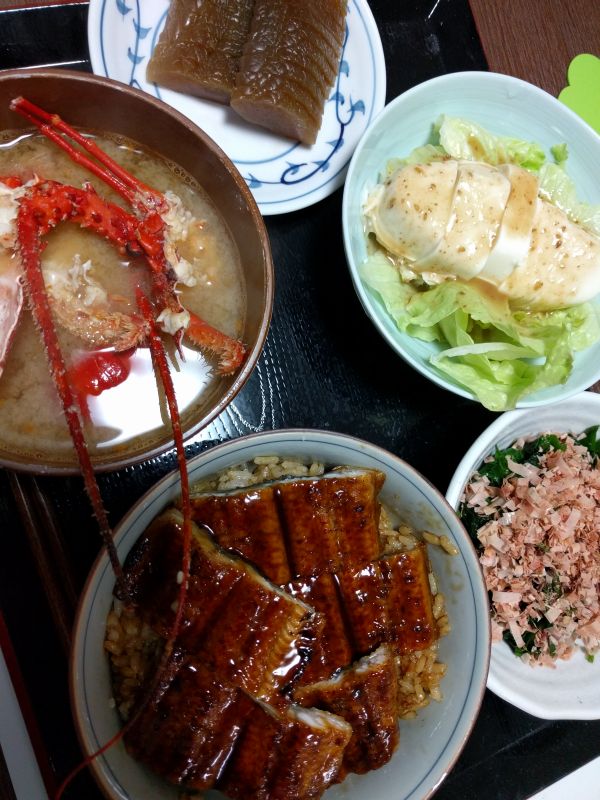 本日の夕食