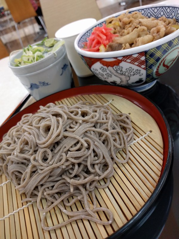 本日の昼食