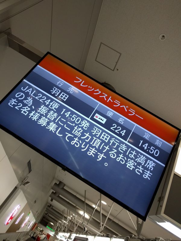 フレックストラベラー