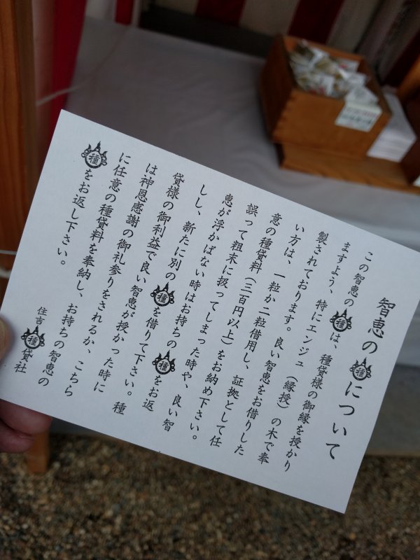 知恵の種について